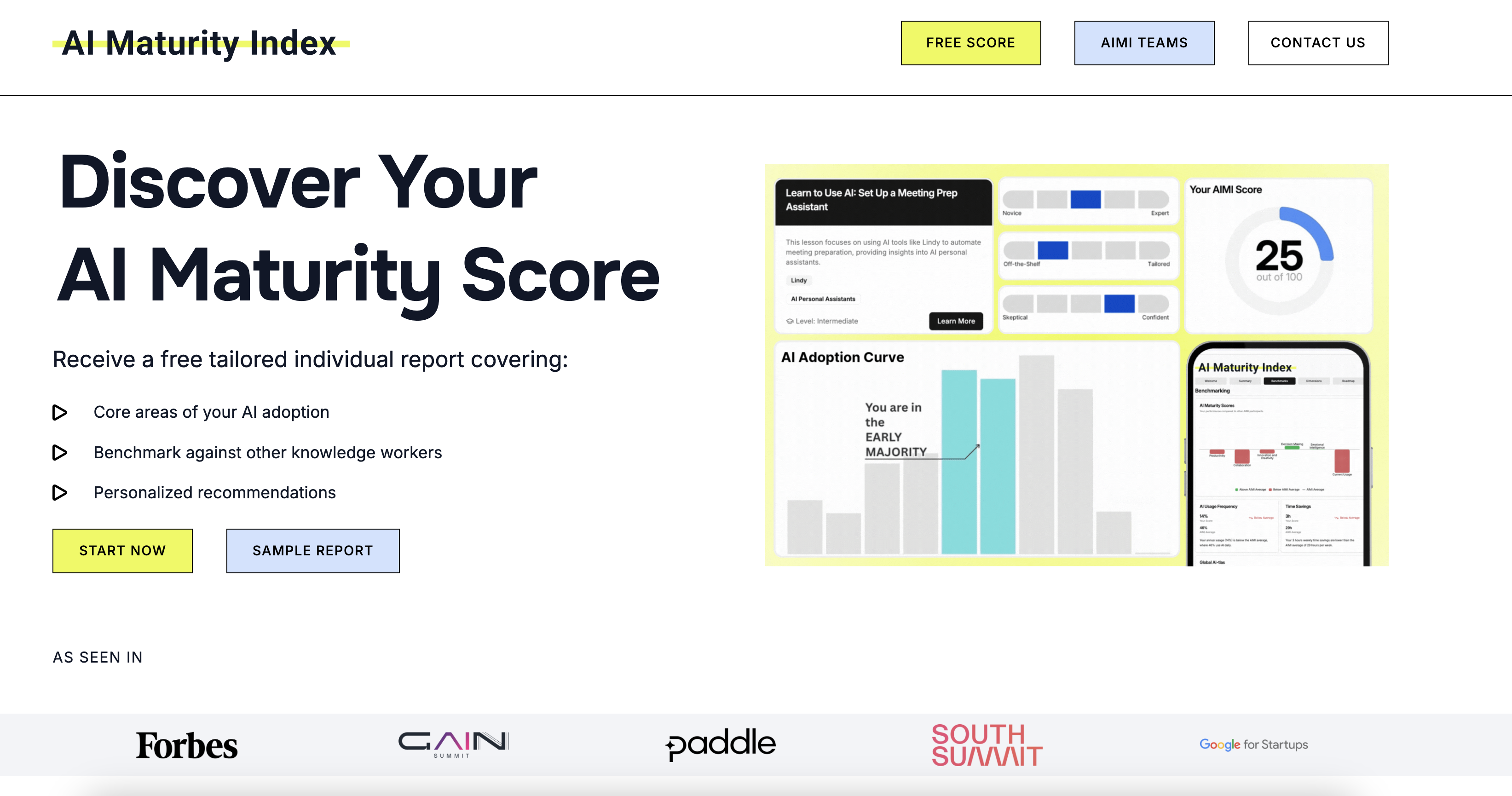 AI Maturity Index